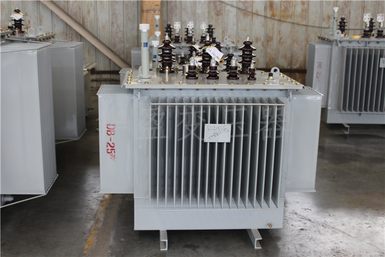 昌吉S20-800kVA/10kV/0.4kV变压器